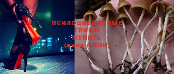 дмт Беломорск
