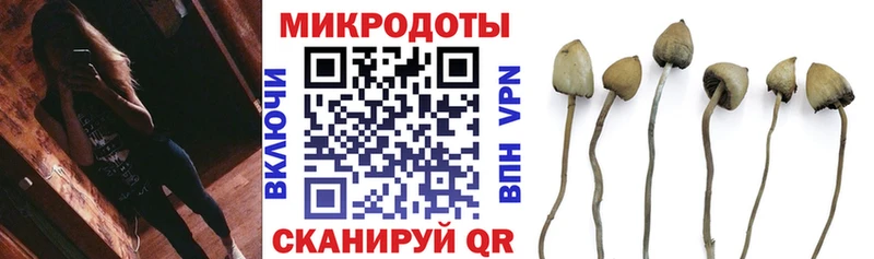 дарк нет наркотические препараты  Крым  Псилоцибиновые грибы Psilocybine cubensis 